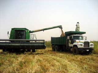 harvest equipment